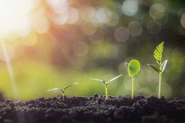 官方网站全新上线！